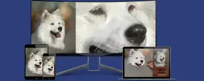 Anteprima del corso sul computer