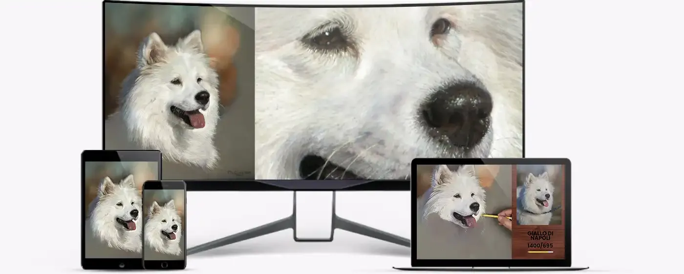 Il corso accessibile da desktop, tablet e smartphone