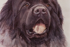11-ACQUERELLO-CM-20X30