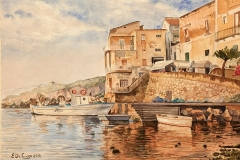 82A2558