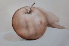 ida-de-marco4