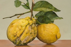 limoni